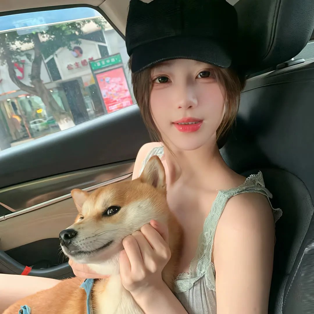 森林进化论第三季 海报